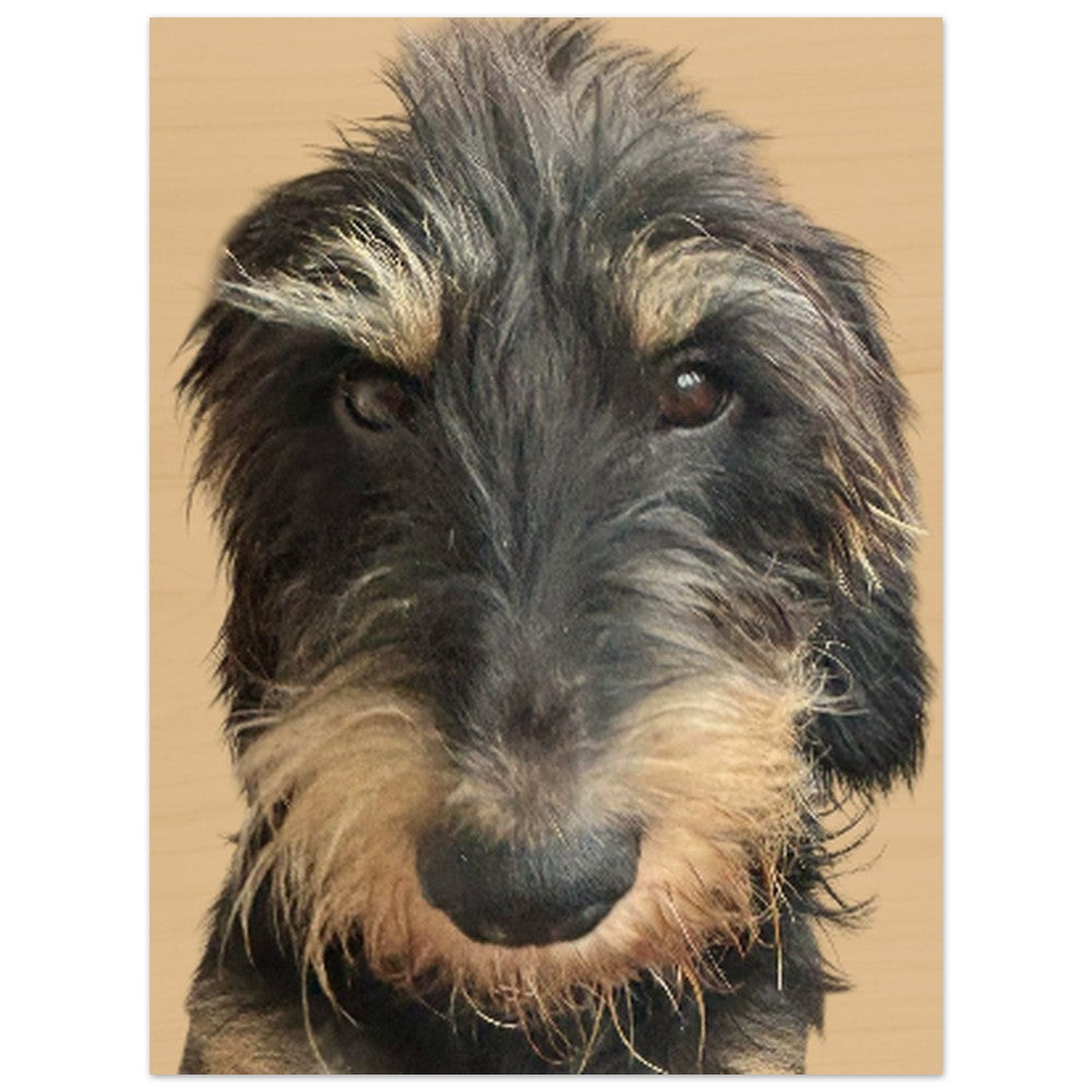 cbd2799c-fb17-4c53-aa00-51331e429e87