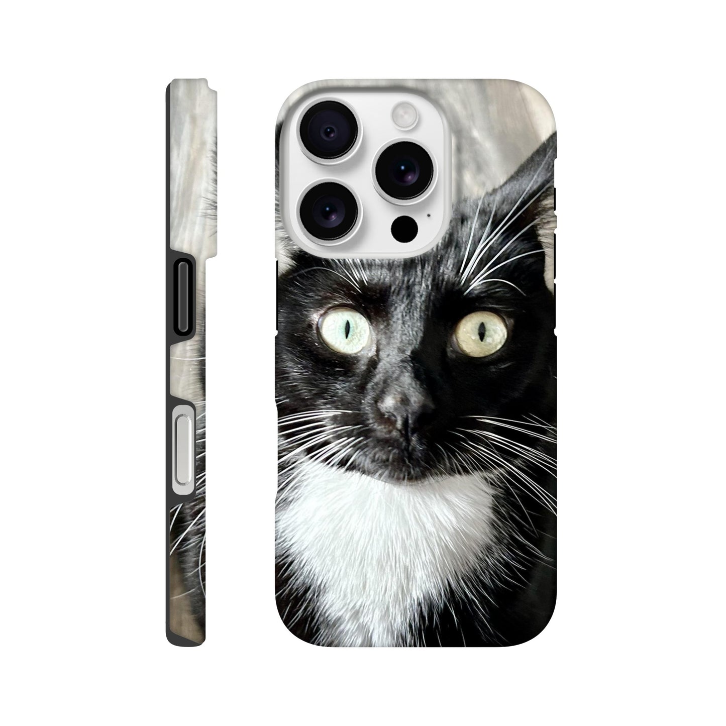 cc05037d-f87a-42ab-be8c-b7ee064d86df