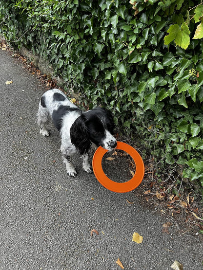 Chewtopia Throw Ring Flying Ring, Frisbee Dog Toy, Flexible and Bright Colour, Made in the UK Fetch Toy, Made From Recycled Plastics, Outdoor Dog Toy - Sayby’s