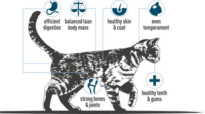 Cotswold RAW Complete Cat, Raw Cat Food, GWF Nutrition, Premium British Meat Raw Food for All Cats, Frozen Cat Meal, Mixed Mince – 6kg - Sayby’s