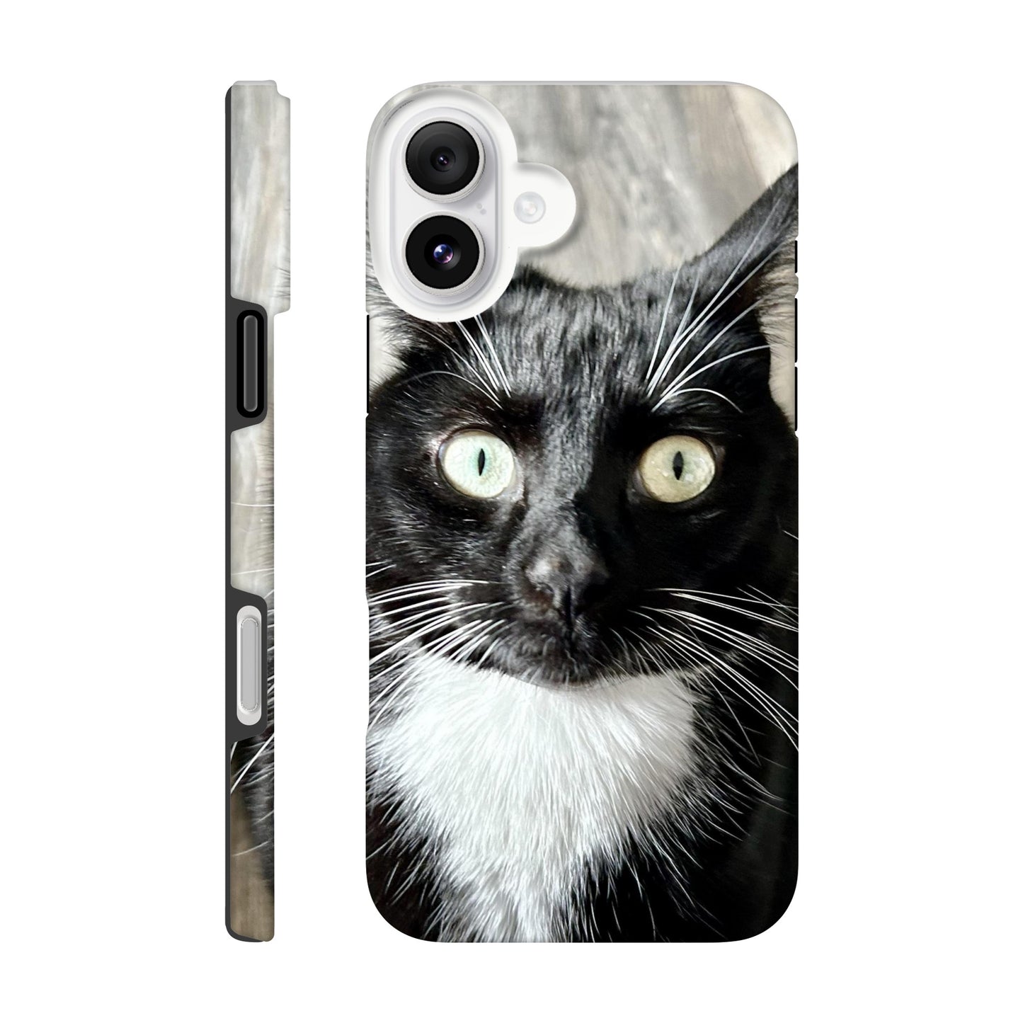 dbe20340-39b5-4a7f-a878-b02f7cf3ea01