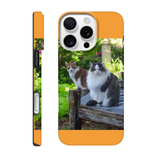 dddd8d80-5bed-43a9-a36a-fe8d54459e2f