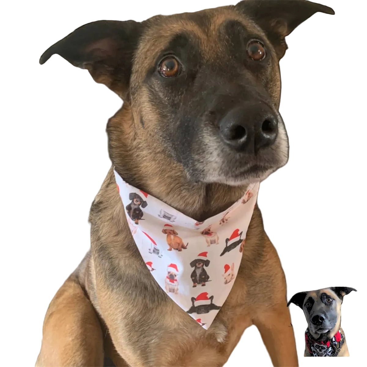 Dogs In Santa Hats Pet Bandanas - Dog Cat - Sayby’s