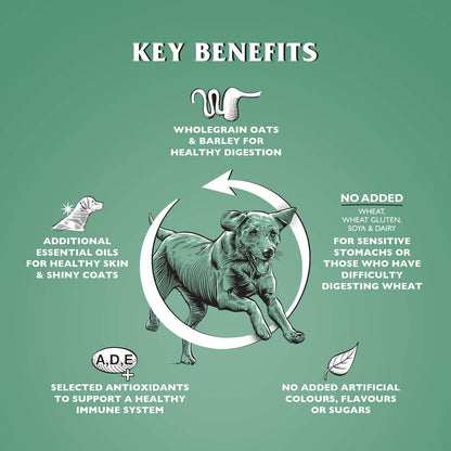 Dr John Hypoallergenic Dry Dog Food - Sayby’s