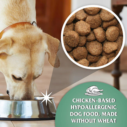 Dr John Hypoallergenic Dry Dog Food - Sayby’s