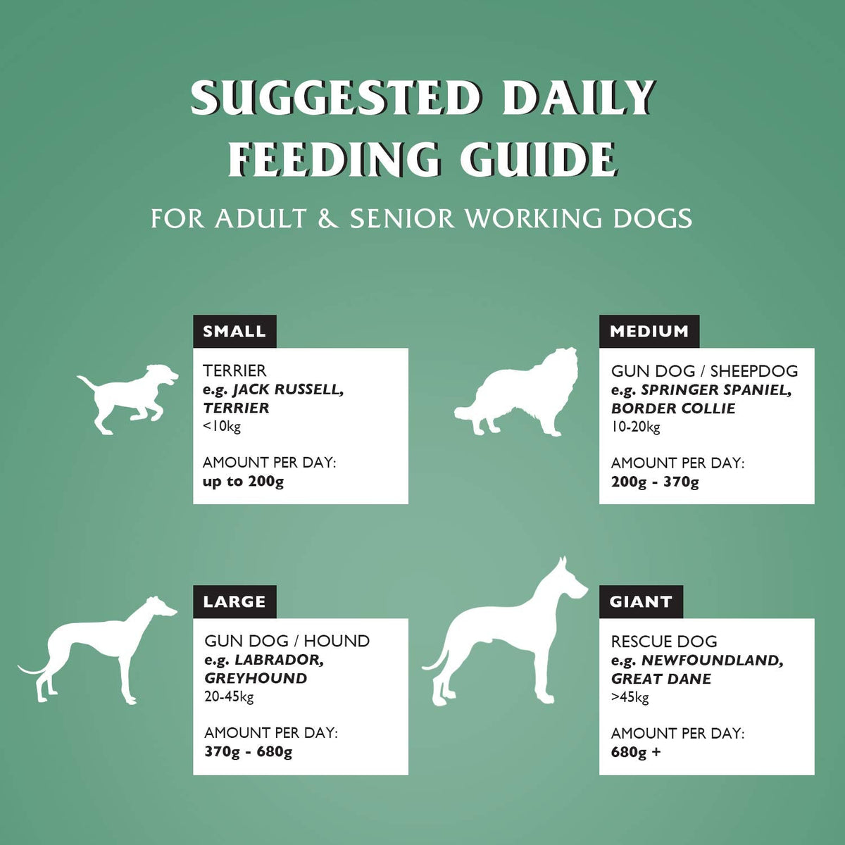 Dr John Hypoallergenic Dry Dog Food - Sayby’s