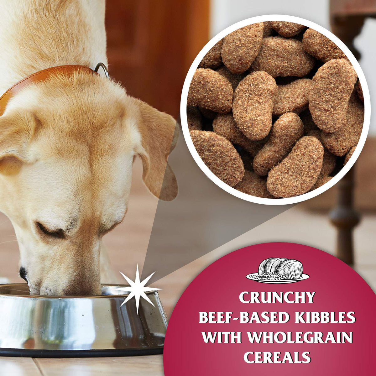 Dr John Silver Dry Dog Food 15kg - Beef with Vegetables - Complete Dog Biscuits 15kg - Senior and Adult Dog Food for Light Activity, Maintenance and Resting Dogs - Sayby’s