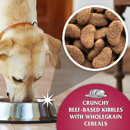 Dr John Silver Dry Dog Food 15kg - Beef with Vegetables - Complete Dog Biscuits 15kg - Senior and Adult Dog Food for Light Activity, Maintenance and Resting Dogs - Sayby’s