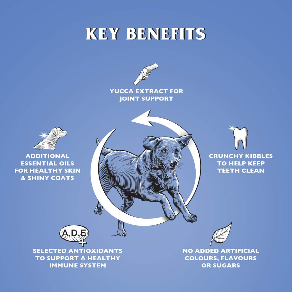 Dr John Silver Dry Dog Food 15kg - Beef with Vegetables - Complete Dog Biscuits 15kg - Senior and Adult Dog Food for Light Activity, Maintenance and Resting Dogs - Sayby’s
