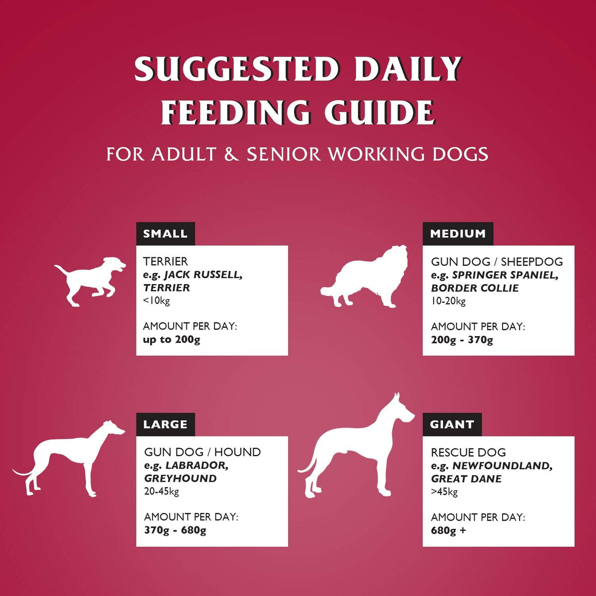 Dr John Silver Dry Dog Food 15kg - Beef with Vegetables - Complete Dog Biscuits 15kg - Senior and Adult Dog Food for Light Activity, Maintenance and Resting Dogs - Sayby’s