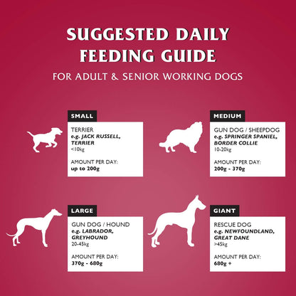 Dr John Silver Dry Dog Food 15kg - Beef with Vegetables - Complete Dog Biscuits 15kg - Senior and Adult Dog Food for Light Activity, Maintenance and Resting Dogs - Sayby’s