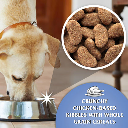 Dr John Silver Dry Dog Food 15kg - Chicken with Vegetables - Complete Dog Biscuits 15kg - Senior and Adult Dog Food for Light Activity, Maintenance and Resting Dogs - Sayby’s