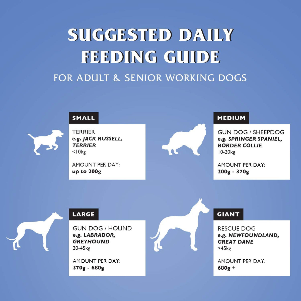 Dr John Silver Dry Dog Food 15kg - Chicken with Vegetables - Complete Dog Biscuits 15kg - Senior and Adult Dog Food for Light Activity, Maintenance and Resting Dogs - Sayby’s
