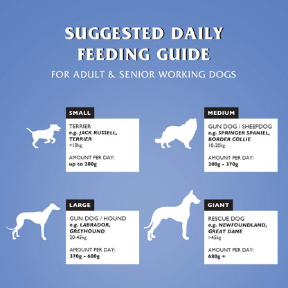 Dr John Silver Dry Dog Food 15kg - Chicken with Vegetables - Complete Dog Biscuits 15kg - Senior and Adult Dog Food for Light Activity, Maintenance and Resting Dogs - Sayby’s