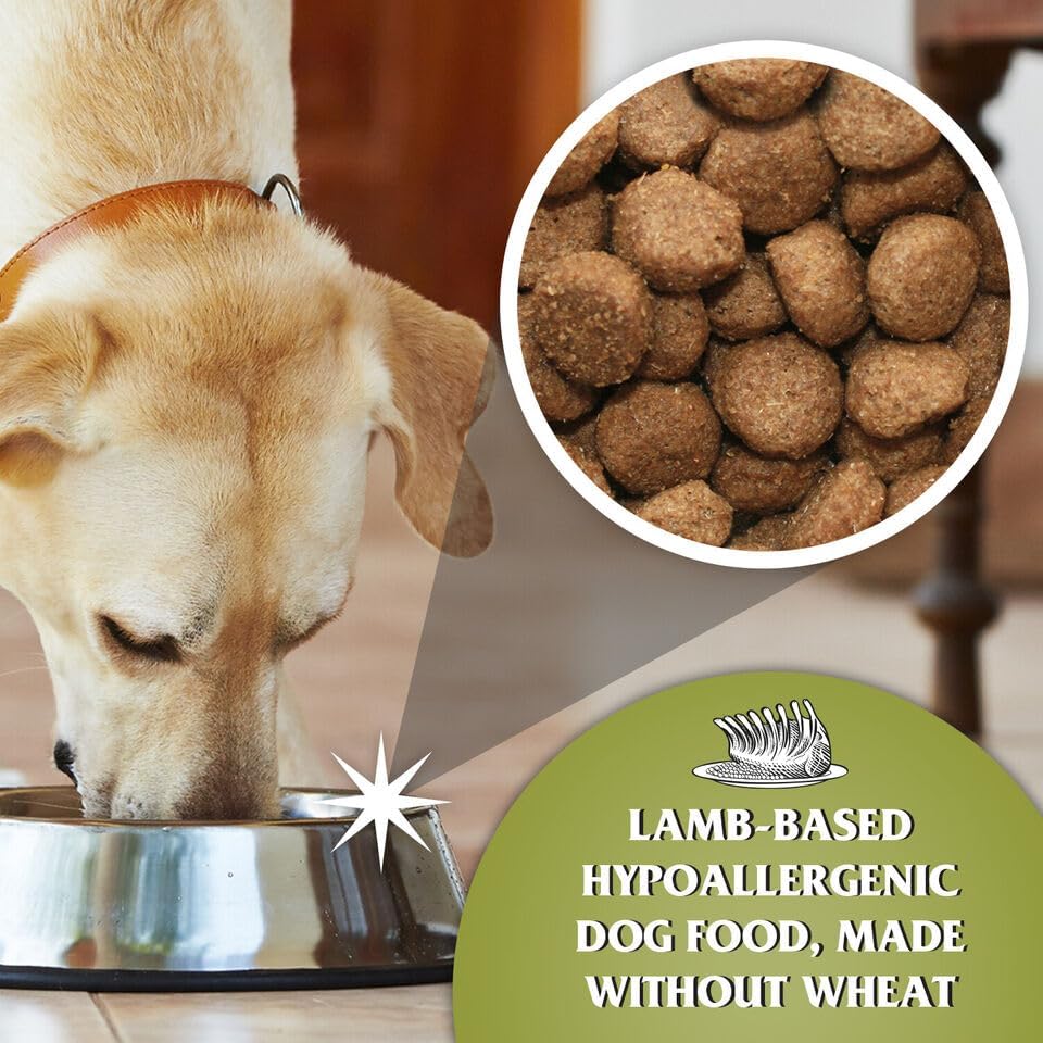 Dr John Wheat-Free Hypoallergenic Dry Dog Food - Lamb with Rice Dog Food 12.5kg - Complete Nutrition for Adult and Senior Dogs with Sensitive Digestion - Sayby’s