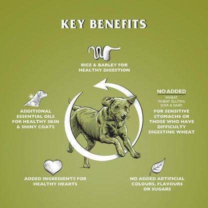 Dr John Wheat-Free Hypoallergenic Dry Dog Food - Lamb with Rice Dog Food 12.5kg - Complete Nutrition for Adult and Senior Dogs with Sensitive Digestion - Sayby’s