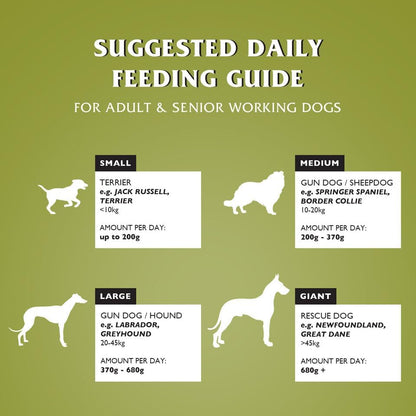 Dr John Wheat-Free Hypoallergenic Dry Dog Food - Lamb with Rice Dog Food 12.5kg - Complete Nutrition for Adult and Senior Dogs with Sensitive Digestion - Sayby’s