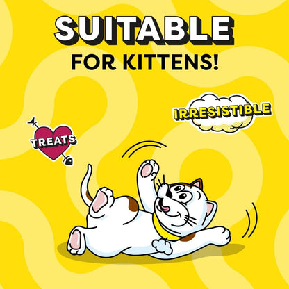 DREAMIES - Cat Treats - 12 x 60g - Multipack Biscuits - Variety Snack Box - 12 Pouches - Sayby’s