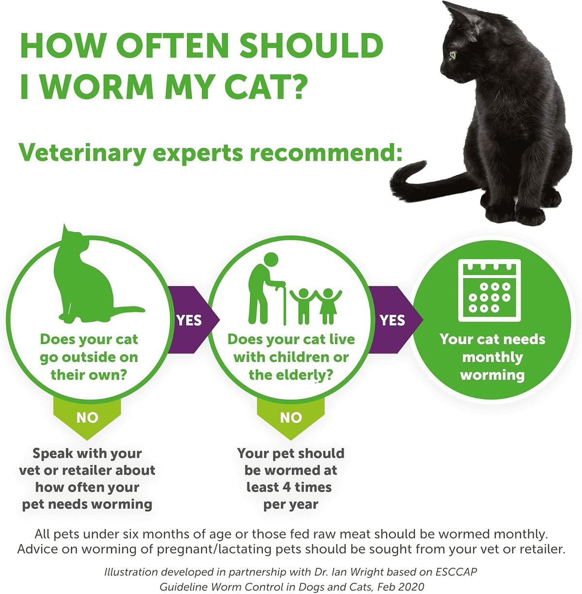 Dronspot Worming Spot On For Medium Cats (2.5-5kg) - Sayby’s