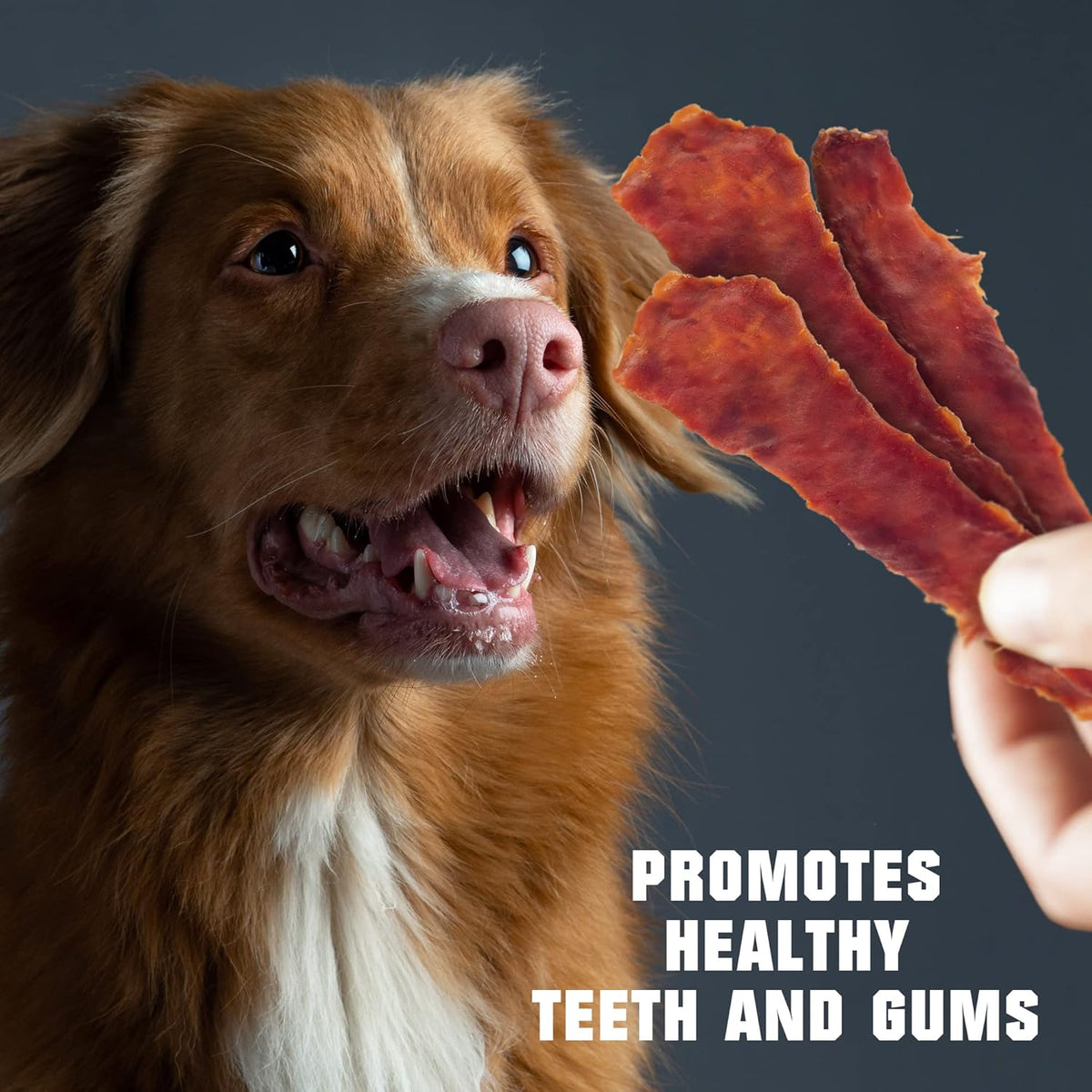 Duck Jerky Dog Treats - Human Grade Pet Snacks - Natural High Protein Meat Dried Strips - Best Chews for Training Small & Large Dogs - Bulk Soft Pack - Sayby’s
