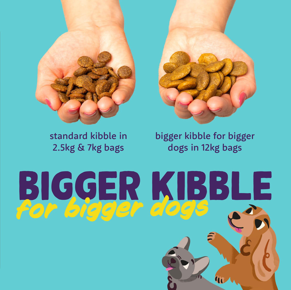 Edgard Cooper Grain Free Dog Food Dry, Natural Kibble Dry Dog Food for Adults, Gluten-Free, Hypoallergenic, with Fresh Meat & Amino Acids - Sayby’s
