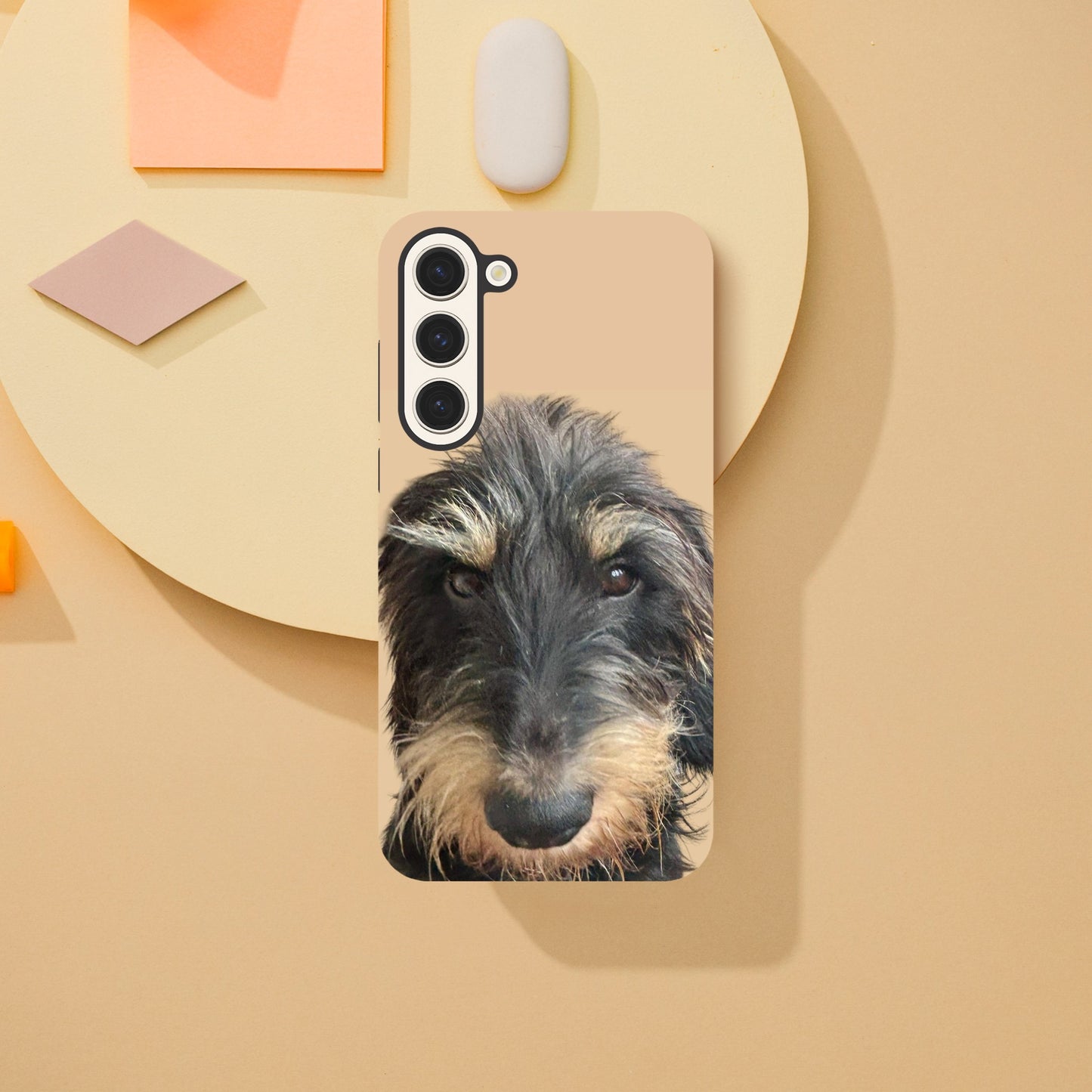 ee7638a4-77d5-4d19-b3e5-75234e90e3ef