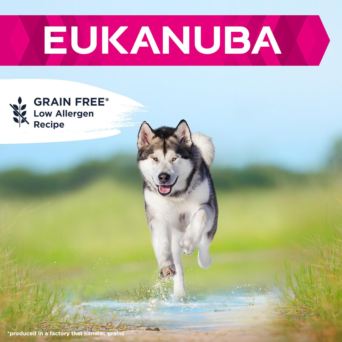 Eukanuba Complete Dry Dog Food for Adult Large and Giant Breeds - Sayby’s