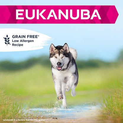 Eukanuba Complete Dry Dog Food for Adult Large and Giant Breeds - Sayby’s