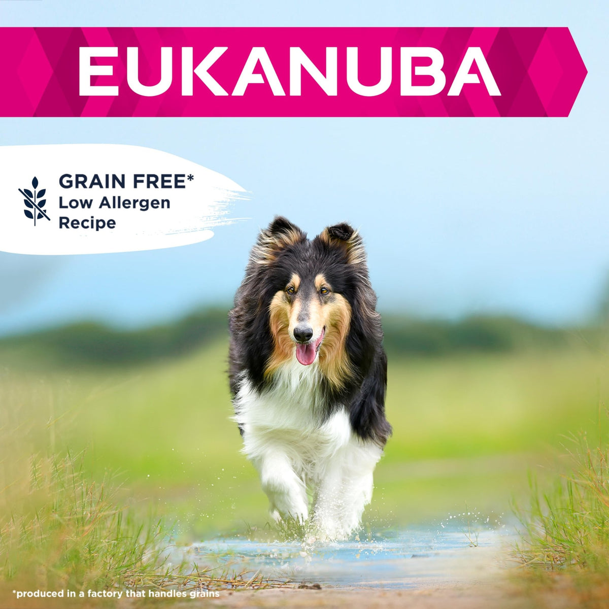 Eukanuba Complete Dry Dog Food for Adult Large and Giant Breeds - Sayby’s