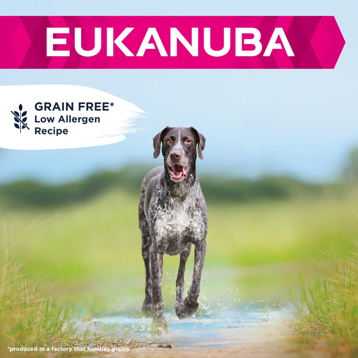 Eukanuba Complete Dry Dog Food for Adult Large and Giant Breeds - Sayby’s