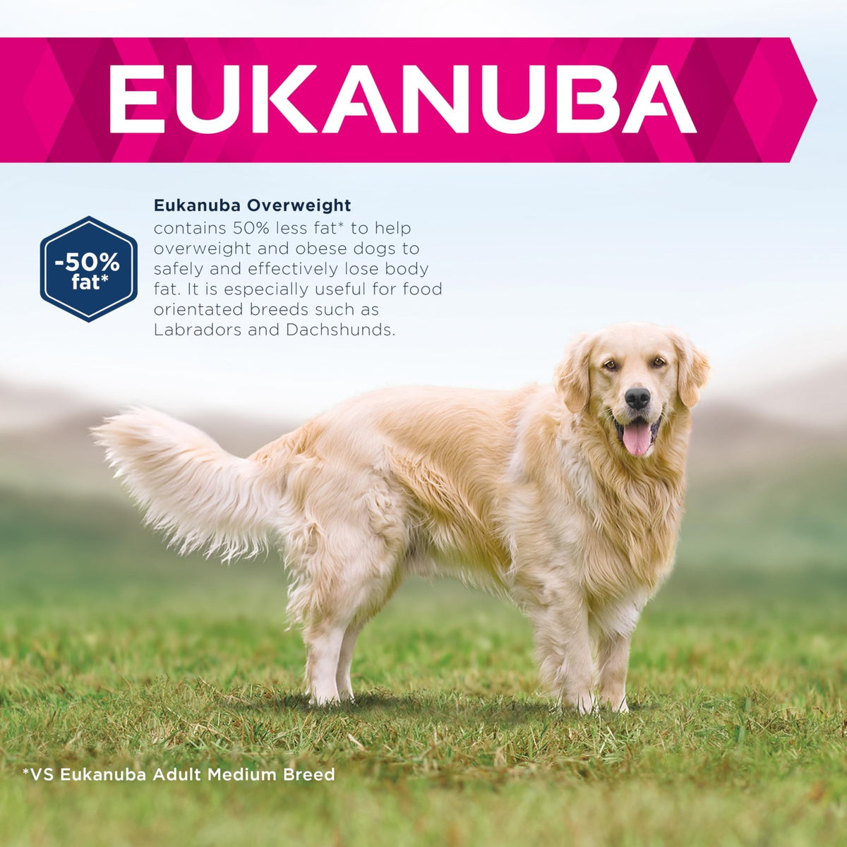 Eukanuba Overweight and Sterilised Low Fat Complete Dry Dog Food for Adult Dogs with Chicken - Sayby’s