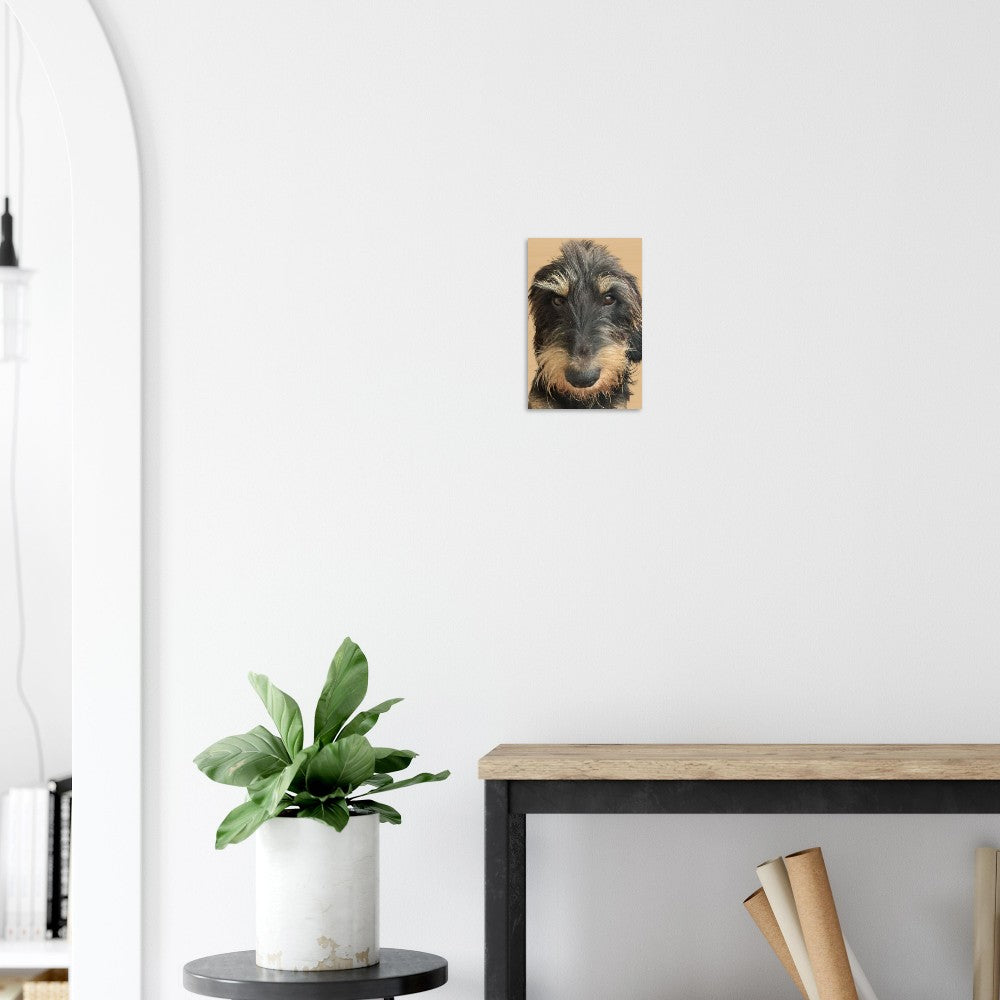 f6e102fb-0fd6-4340-aa90-7e11f0a7f007