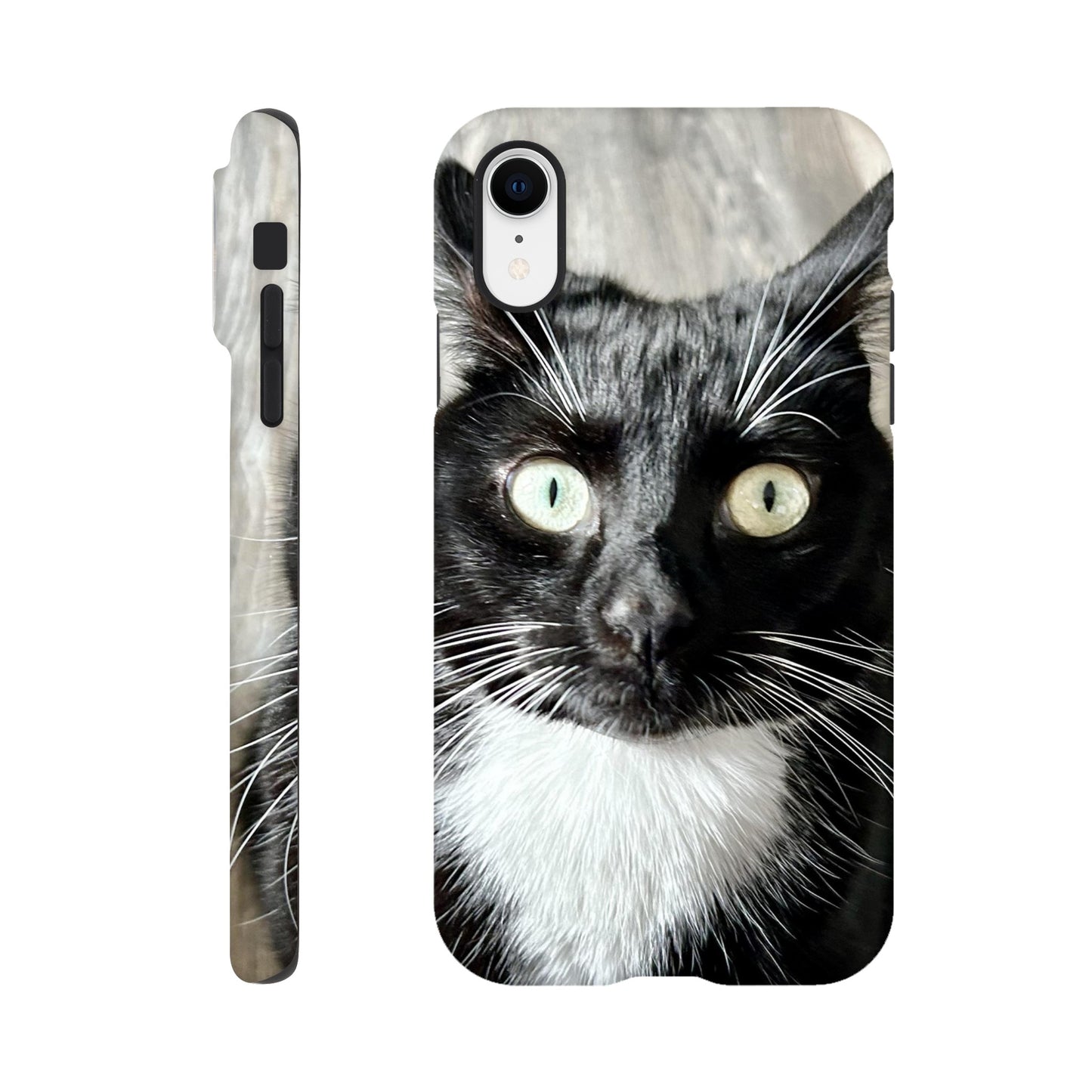 fe1ca84f-2e0f-462c-8877-0bb94a5382c0