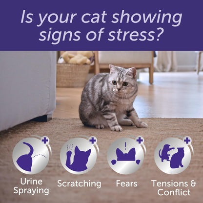 FELIWAY Optimum 30 Day Cat Calming Odourless Plug In Pheromone Diffuser Starter Kit, 48ml - Helps Solve Signs of Stress in Cats & Kittens, Veterinary Recommended, Drug-free, Clinically Proven - Sayby’s