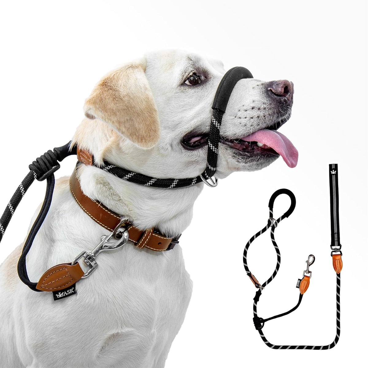 Figure of 8 Slip Lead for Dogs, Dual-Use No-Pull Training Leash with Stopper, Neoprene Nose Padding, Reflective Safety Strip and Robust Static 14-Core Nylon Rope - Sayby’s