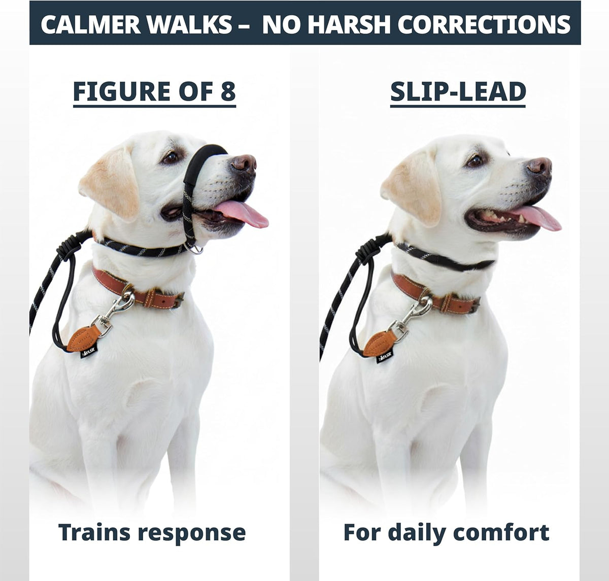 Figure of 8 Slip Lead for Dogs, Dual-Use No-Pull Training Leash with Stopper, Neoprene Nose Padding, Reflective Safety Strip and Robust Static 14-Core Nylon Rope - Sayby’s
