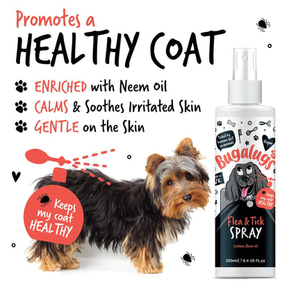 Flea and Tick Dog Shampoo by Bugalugs, Works on Smelly Puppies & Dogs, Contains Neem Oil PH Balanced Vegan Used by Professional Groom (Shampoo 500ml) - Sayby’s