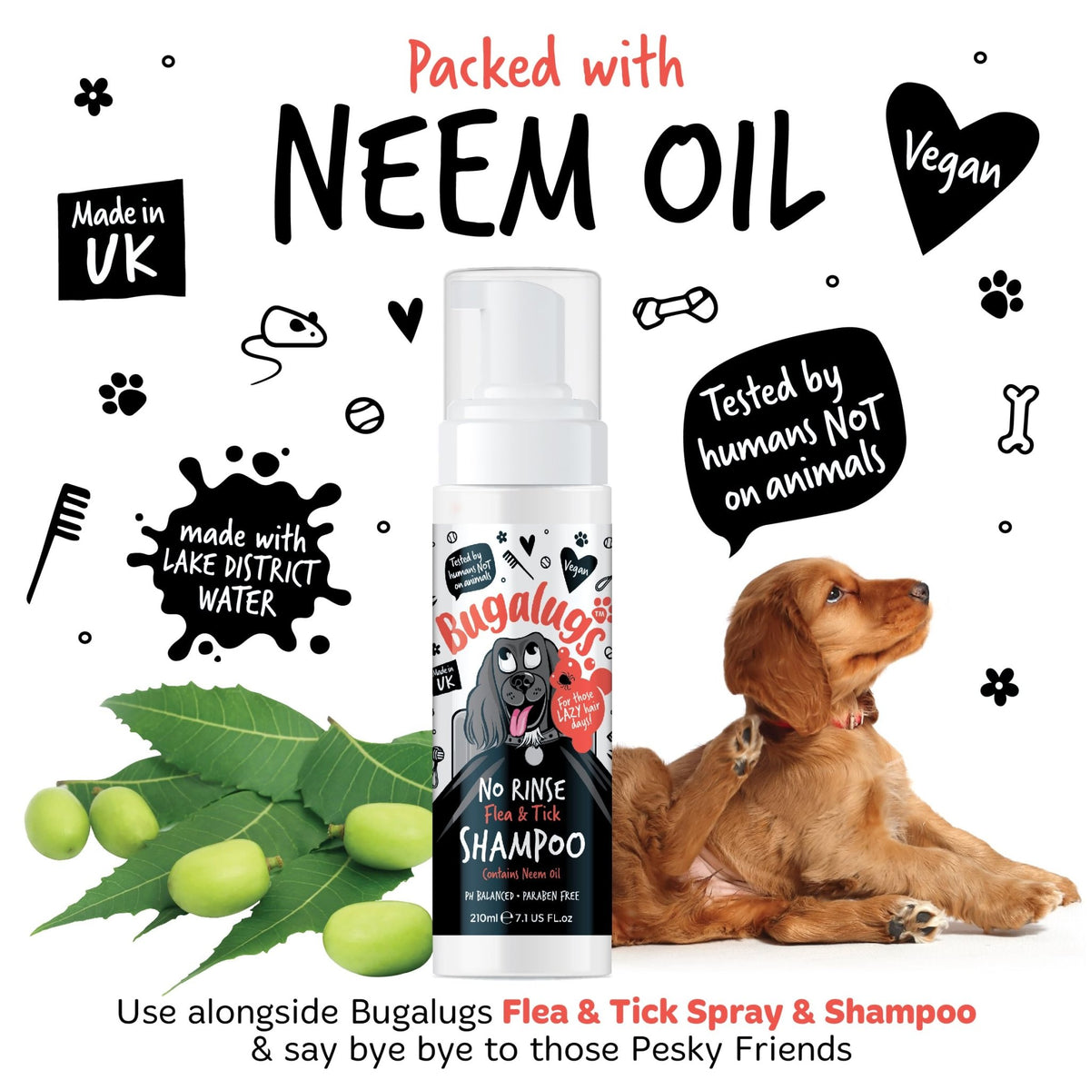 Flea and Tick Dog Shampoo by Bugalugs, Works on Smelly Puppies & Dogs, Contains Neem Oil PH Balanced Vegan Used by Professional Groom (Shampoo 500ml) - Sayby’s