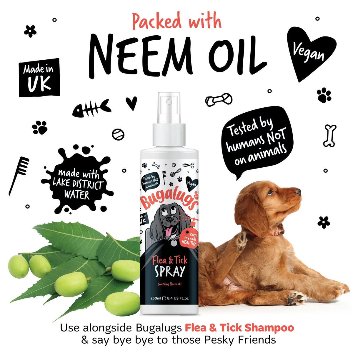 Flea and Tick Dog Shampoo by Bugalugs, Works on Smelly Puppies & Dogs, Contains Neem Oil PH Balanced Vegan Used by Professional Groom (Shampoo 500ml) - Sayby’s
