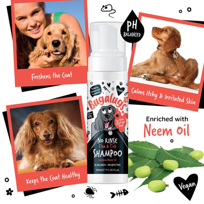 Flea and Tick Dog Shampoo by Bugalugs, Works on Smelly Puppies & Dogs, Contains Neem Oil PH Balanced Vegan Used by Professional Groom (Shampoo 500ml) - Sayby’s