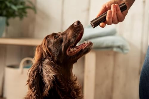 Forthglade Natural Dog Dental Sticks (20 Sticks) - Plant-Based & Grain Free Dog Treats, Dental Chews for Fresh Breath, Removes Plaque and Tartar, Resealable Bags - Sayby’s