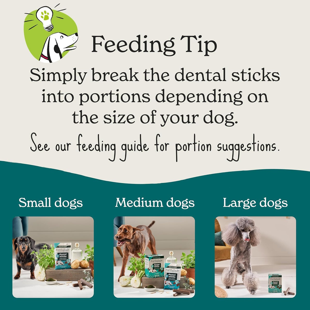 Forthglade Natural Dog Dental Sticks (20 Sticks) - Plant-Based & Grain Free Dog Treats, Dental Chews for Fresh Breath, Removes Plaque and Tartar, Resealable Bags - Sayby’s
