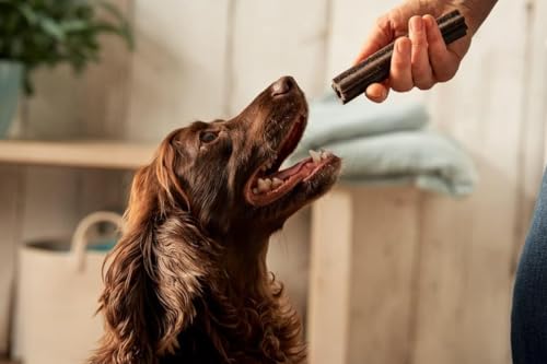 Forthglade Natural Dog Dental Sticks (20 Sticks) - Plant-Based & Grain Free Dog Treats, Dental Chews for Fresh Breath, Removes Plaque and Tartar, Resealable Bags - Sayby’s