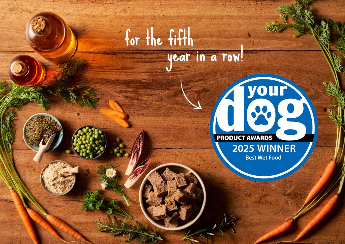 Forthglade Wet Dog Food, National Trust Variety Pack - Grain Free & Hypoallergenic Dog Food, Adult 1 Year+, Turkey & Goose and Duck & Venison, Stomach Sensitive, Natural Ingredients - Sayby’s