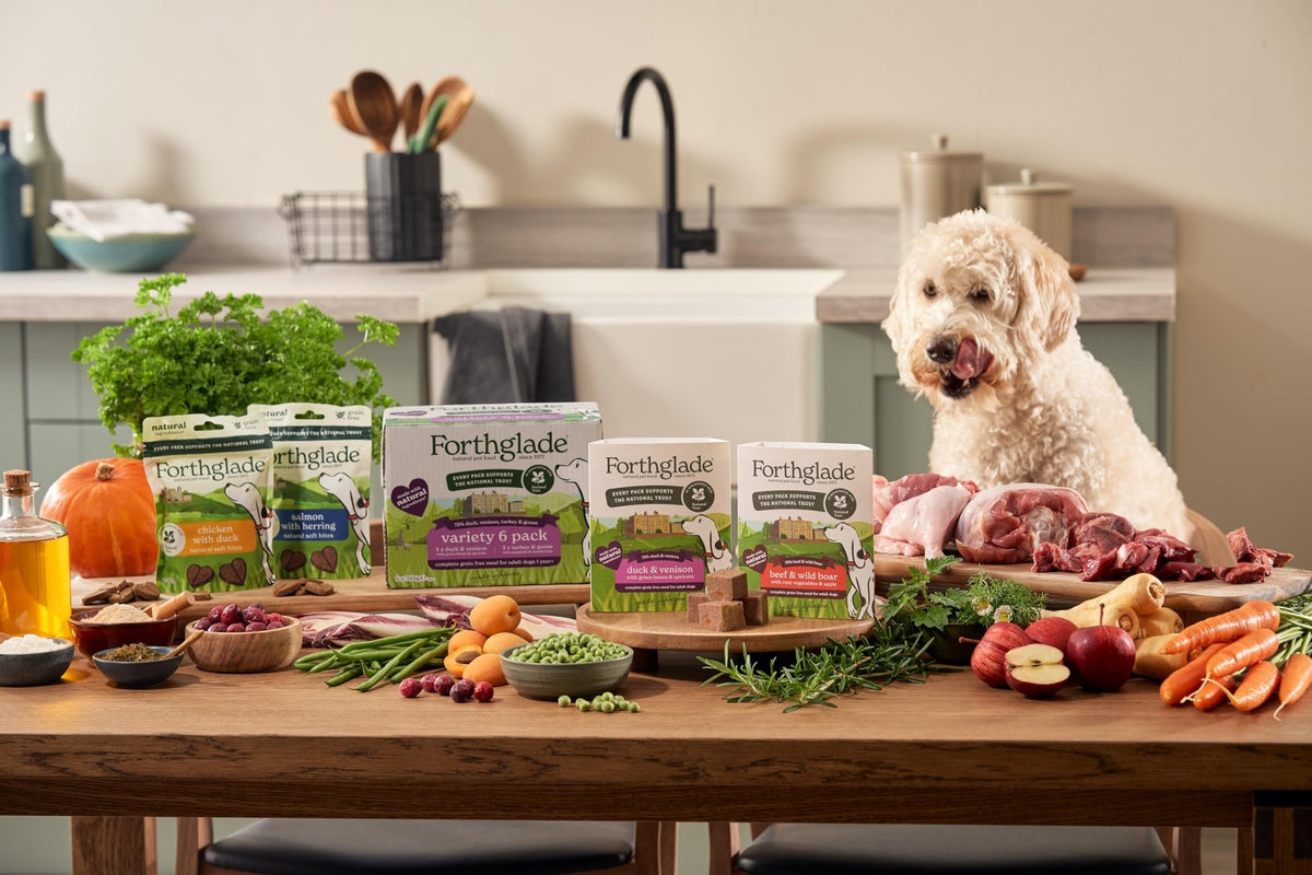 Forthglade Wet Dog Food, National Trust Variety Pack - Grain Free & Hypoallergenic Dog Food, Adult 1 Year+, Turkey & Goose and Duck & Venison, Stomach Sensitive, Natural Ingredients - Sayby’s
