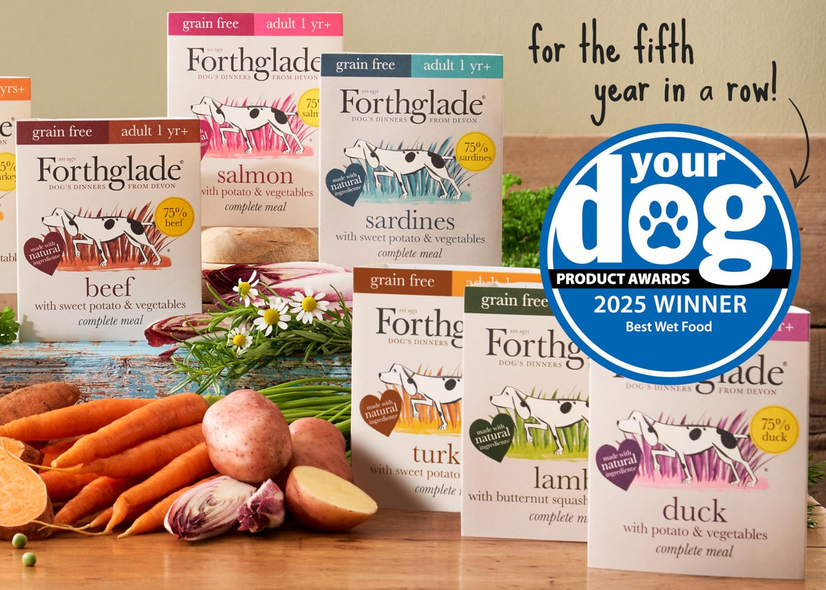 Forthglade Wet Dog Food Variety Pack - Grain Free & Hypoallergenic Dog Food, Adult 1 Year+, Turkey, Lamb & Duck with Vegetables, Complete Stomach Sensitive Meals, Natural Ingredients - Sayby’s