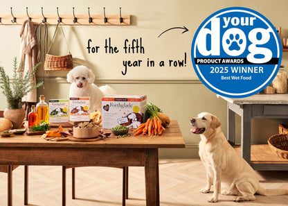 Forthglade Wet Dog Food Variety Pack - Senior 7 Years+, Grain Free & Hypoallergenic Dog Food, Turkey & Lamb with Vegetables, Stomach Sensitive Meals with Natural Ingredients - Sayby’s