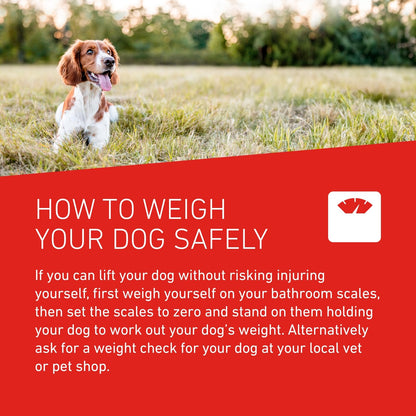 FRONTLINE WORMER - Worming Tablets for Dogs - 2 Tablets - Sayby’s