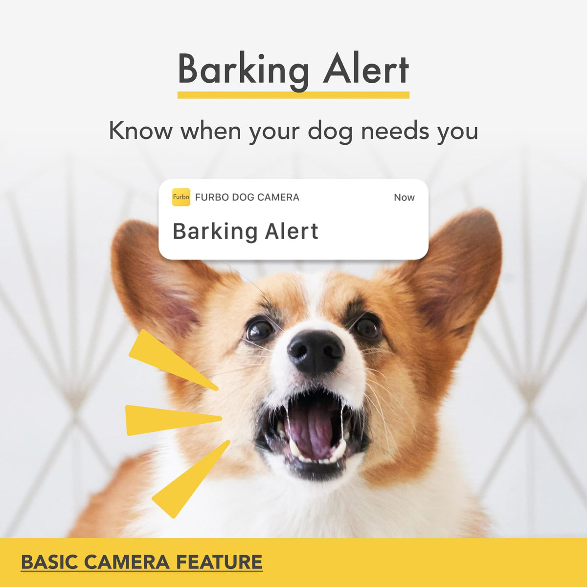 Furbo 360° Pet Camera w/Home Safety Package [PREMIUM W/SUBSCRPITION] Smart Pet Monitor w/App for Pet & Home, Rotating 360° View, Colour Night Vision, Auto-Tracking, Treat-toss, Barking, Smart Alert - Sayby’s