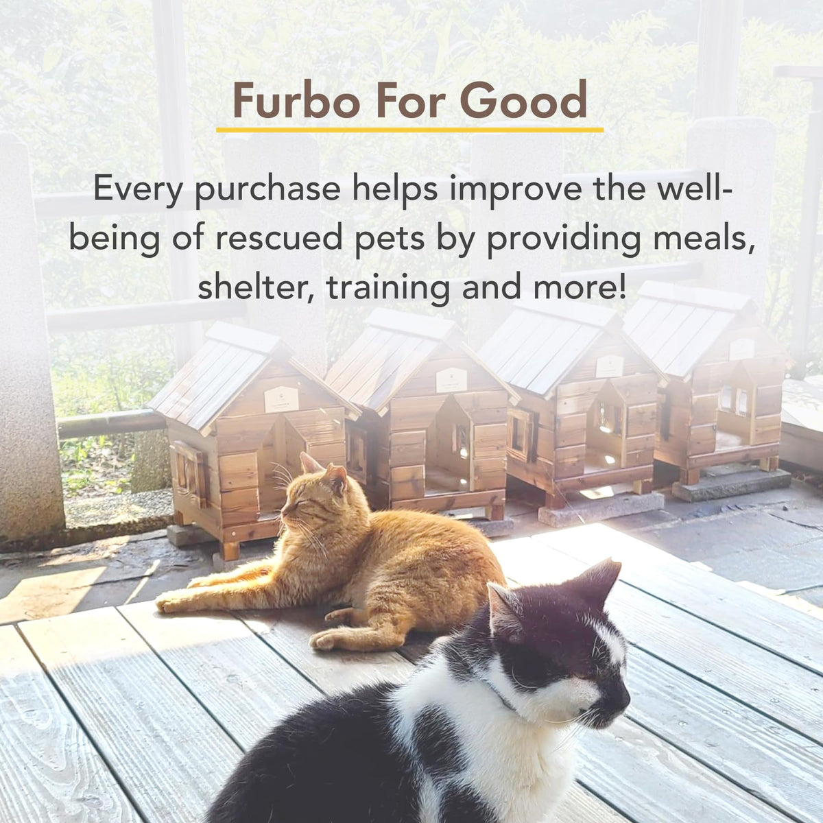 Furbo 360° Pet Camera w/Home Safety Package [PREMIUM W/SUBSCRPITION] Smart Pet Monitor w/App for Pet & Home, Rotating 360° View, Colour Night Vision, Auto-Tracking, Treat-toss, Barking, Smart Alert - Sayby’s
